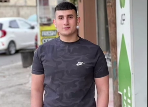 محمود معالي 